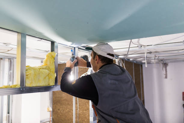 Best Specialized Insulation Services in Alamogordo, NM