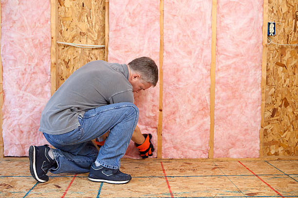 Best Specialized Insulation Services in Alamogordo, NM